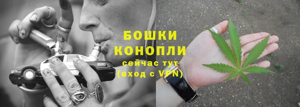 твердый Арсеньев