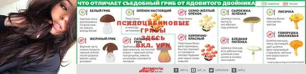 твердый Арсеньев