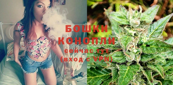прущие крисы Армянск