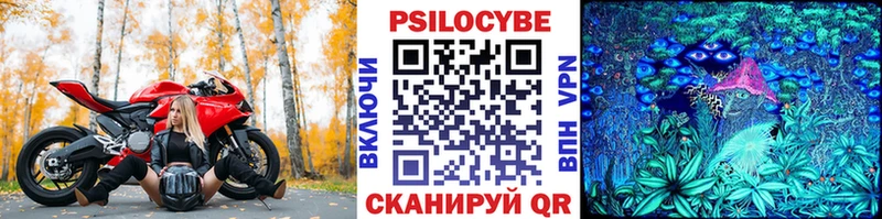 закладки  Ахтубинск  Галлюциногенные грибы прущие грибы 